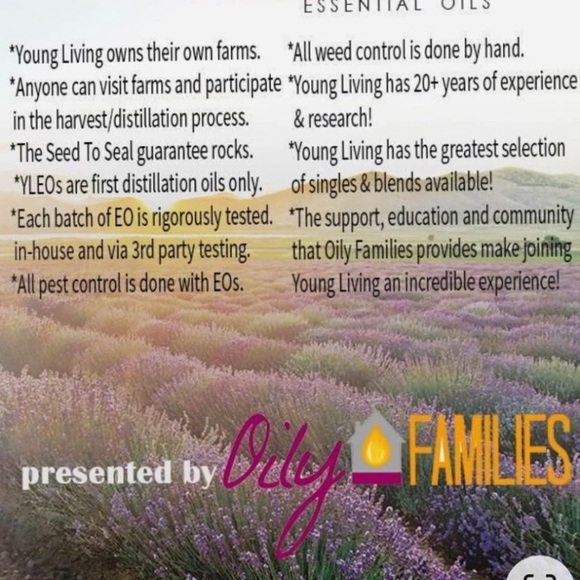 Young Living Northern Lights Black Spruce Essential Oil - Picture 6 of 6